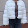 Damenmode Kunstpelzmantel superheiß Herbst Winter Damen kurze Kunstfuchsjacke flauschig hohe Qualität 7XL Damen Pelzmäntel