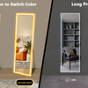 JHK Led 64"x21" Full Length Mirror Standing Hanging or Wall-Mounted Mirrors with Stand Aluminum Alloy Frame For Living Room