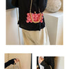 Mini Gold Chain Crossbody Bags for Women 2024 Y2K Korean Fashion Lady Evening Party Shoulder Bag Handbags and Purses