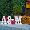 Luxury Alphabet Letter LED Lights Luminous Number Lamp  Battery Night Light for Home Wedding Birthday Christmas Party Decoration
