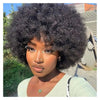 Afro Fluffy Curly Human Hair Wigs 70S Jerry Curl Wig One Wig Two Stlyes Glueless Wig Puffy Bouncy Wig Bouncy Wet and Dry Styling