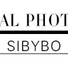 SIBYBO Ribbed Spaghetti Strap Cotton Dress Women Sleeveless O-Neck Summer Dress Solid Backless Long Party Dress
