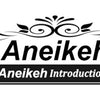 Aneikeh 2024 Summer Sexy Mesh Pumps Sandals Female Square Toe High Heel Lace Up Cross-Tied Stiletto Hollow Dress Party Shoes