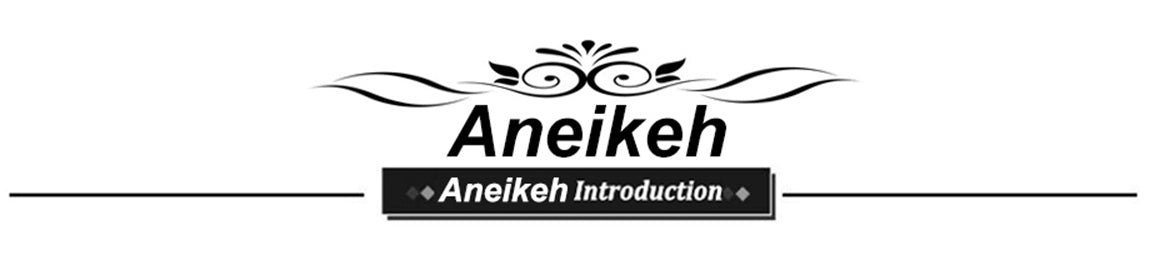 Aneikeh 2024 Summer Sexy Mesh Pumps Sandals Female Square Toe High Heel Lace Up Cross-Tied Stiletto Hollow Dress Party Shoes