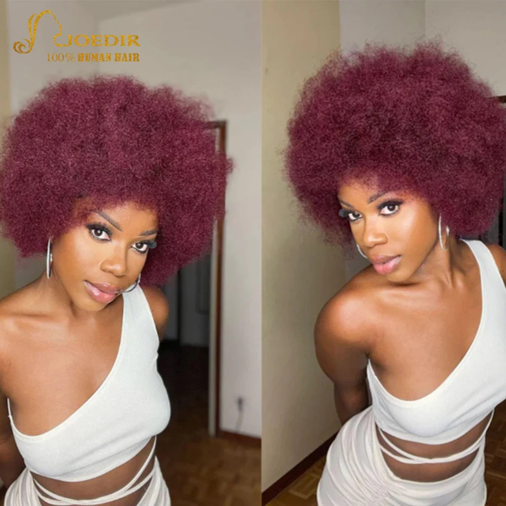 Joedir Brazilian Remy Hair Afro Kinky Curly Bulk Human Hair For Braiding dreadlocks Hair Extensions Crochet Braid hair QVR Hair