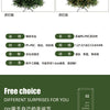 Gift Christmas Decoration High end PE Mixed Christmas Tree Encryption 1.2m 1.8m Christmas Tree