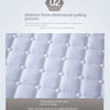 Cotton Hotel Single Double Non-Slip Mat Hotel Thin Mattress Protective Pad Student Dormitory Bed Cotton-Padded Mattress Cushion