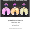 50ml Durable Fresh Citrus Smell Perfume for Ladies High-end Fragrance Long Lasting Light  Orange Flavor