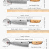 XINZUO 1-8pcs Kitchen Knife Set 73 Layers Custom Damascus Steel 15°±1 Per Side Steel Blade with Olive Wood Handle
