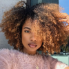 Ombre Brown Short Afro Kinky Curly Bob Wigs For Women Brazilian Human Hair Wigs Highlight Human Hair Wig With Bangs 180% Density