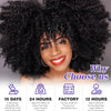 Latisha 13X6 HD Synthetic Lace Front Wigs Curly Pre Plucked Lace Frontal Wig with Bangs for Women Highlight with Babyhair 24Inch