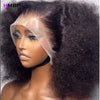 Afro Kinky Curly 500 Density 13×6/360 HD Glueless Lace Frontal Wigs Human Hair Wear And Go PrePlucked Hair For Black Women HMBP