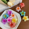 6Pcs Gradient Hair Clips New Flower Hair Claws Small Size Fashion Headwear Hairpin Crab Barrette Hair Accessories for Women