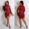Sexy Pearls Rhinestone Party Dresses Women Elegance Nightclub Feather Birthday Dress Long Sleeve Mesh Sheer Bodycon Mini Dress