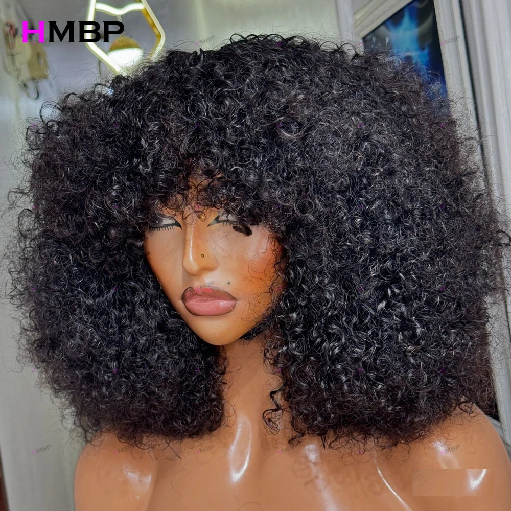 Afro Kinky Curly 500 Density Glueless Lace Front Wig Human Hair Ready To Go 13×6/360 HD Lace Front Wig Preplucked Hair For Women