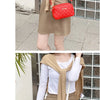 2023 Tassel Small Messenger Bag For Women Trend Lingge Embroidery Camera Female Shoulder Bag Fashion Chain Ladies Crossbody Bags