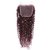 HairUGo Brazilian 99J 4x4 Straight Hair Closure 4*4 Lace Closure 10''-20'' 100% Human Hair Lace Closure With Baby Hair Remy Hair