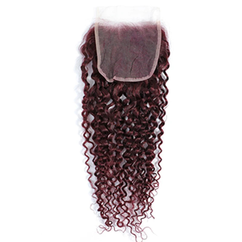HairUGo Brazilian 99J 4x4 Straight Hair Closure 4*4 Lace Closure 10''-20'' 100% Human Hair Lace Closure With Baby Hair Remy Hair